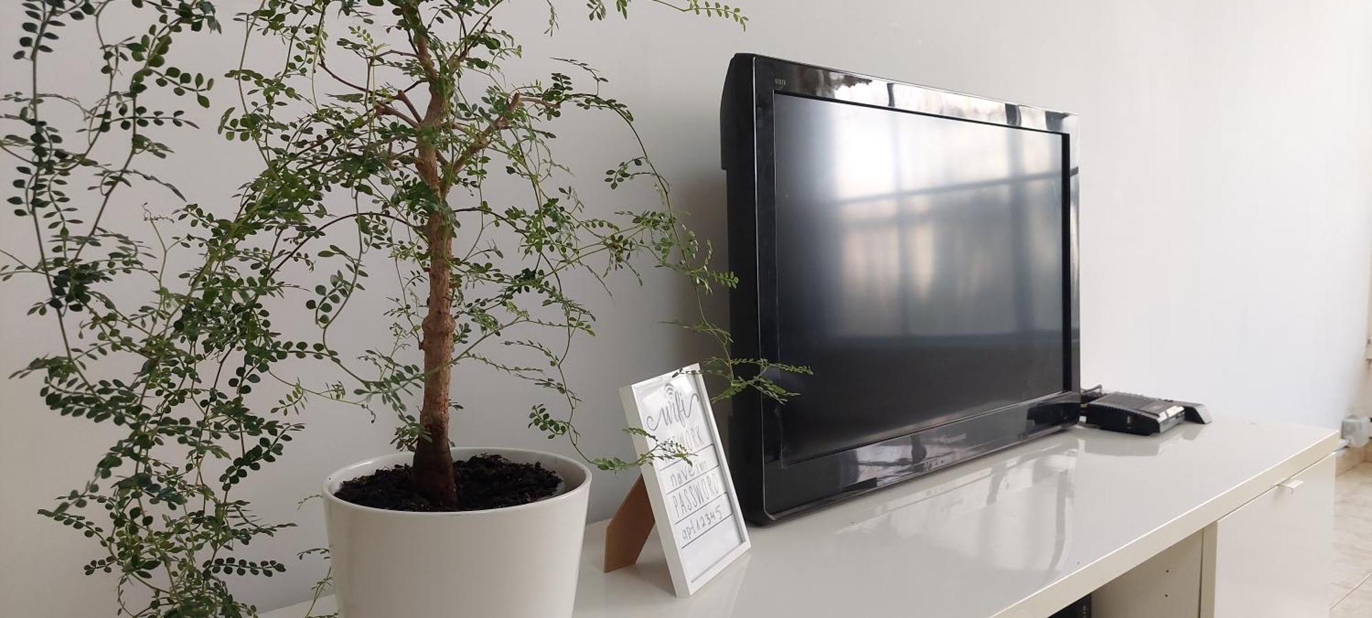 הנביאים 1 נתניה Naveim Apartment Exteriér fotografie